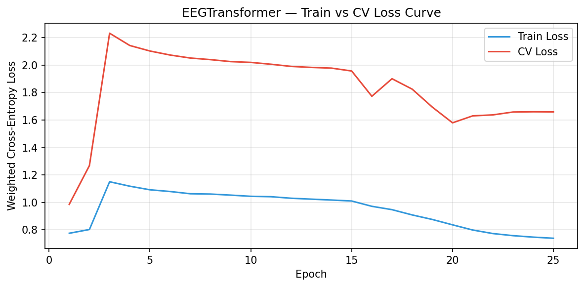 EEGTransformer Loss Curve